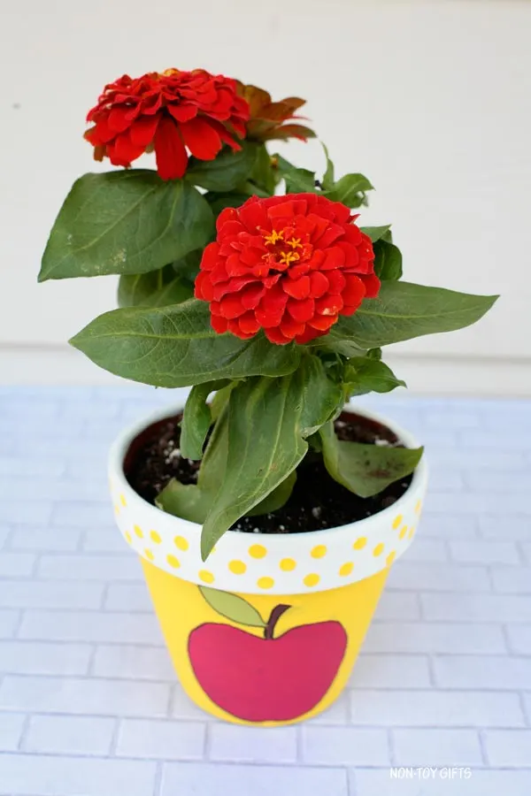 Apple painted flowerpot gift