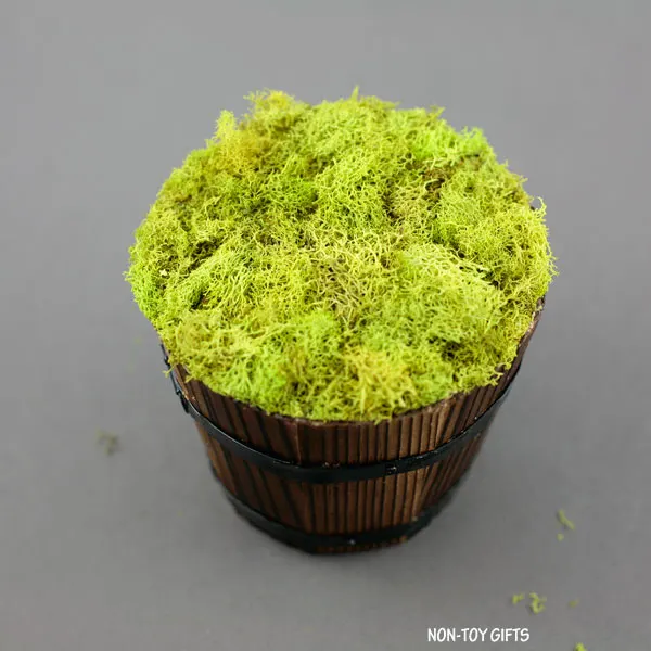 moss-covered pot