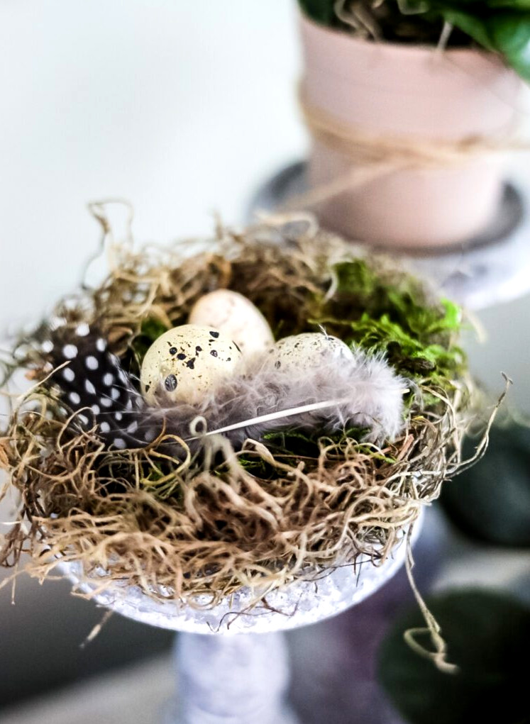 craft bird's nest with eggs and feathers