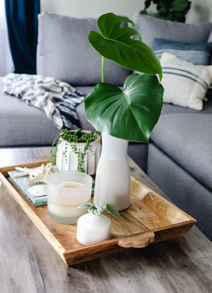 coffee table tray with plants