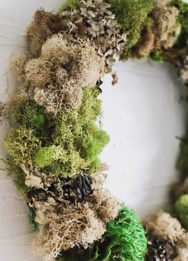 anthropologie dupe moss wreath