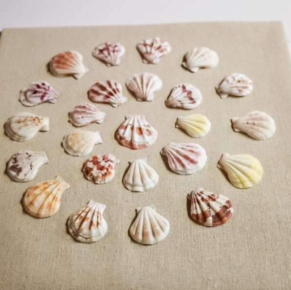 DIY sea shell shadow box