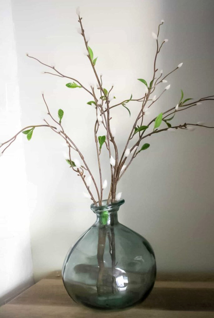 pussy willow stems