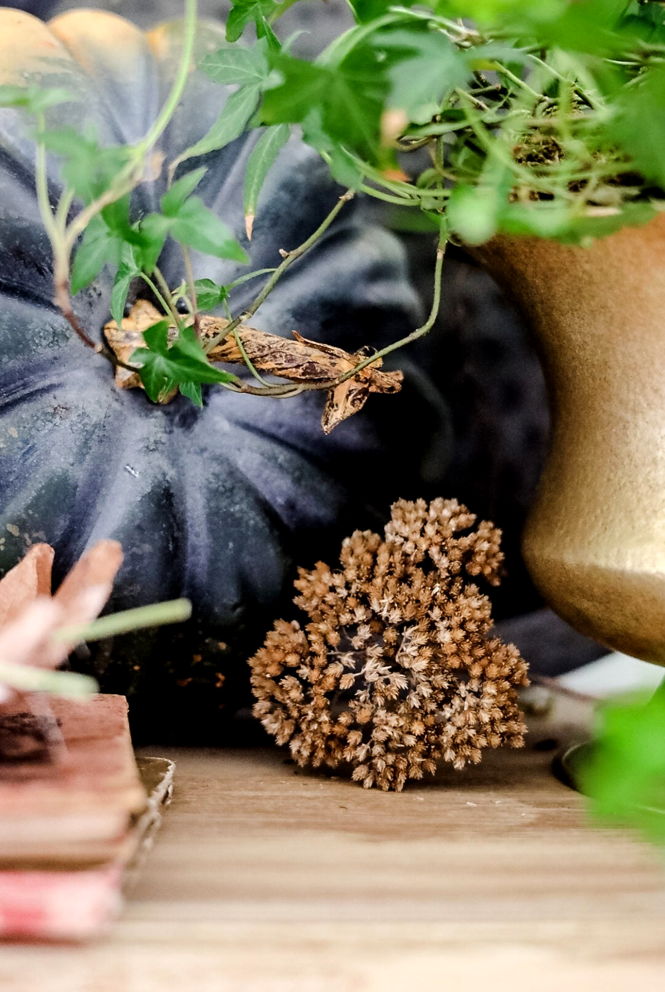 close up of pumpkin and dried flower