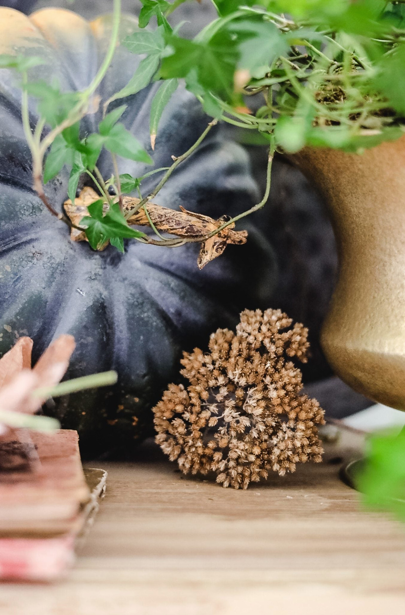 close up of pumpkin and dried flower