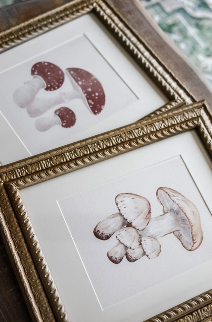 2 mushroom prints in gold vintage looking frames