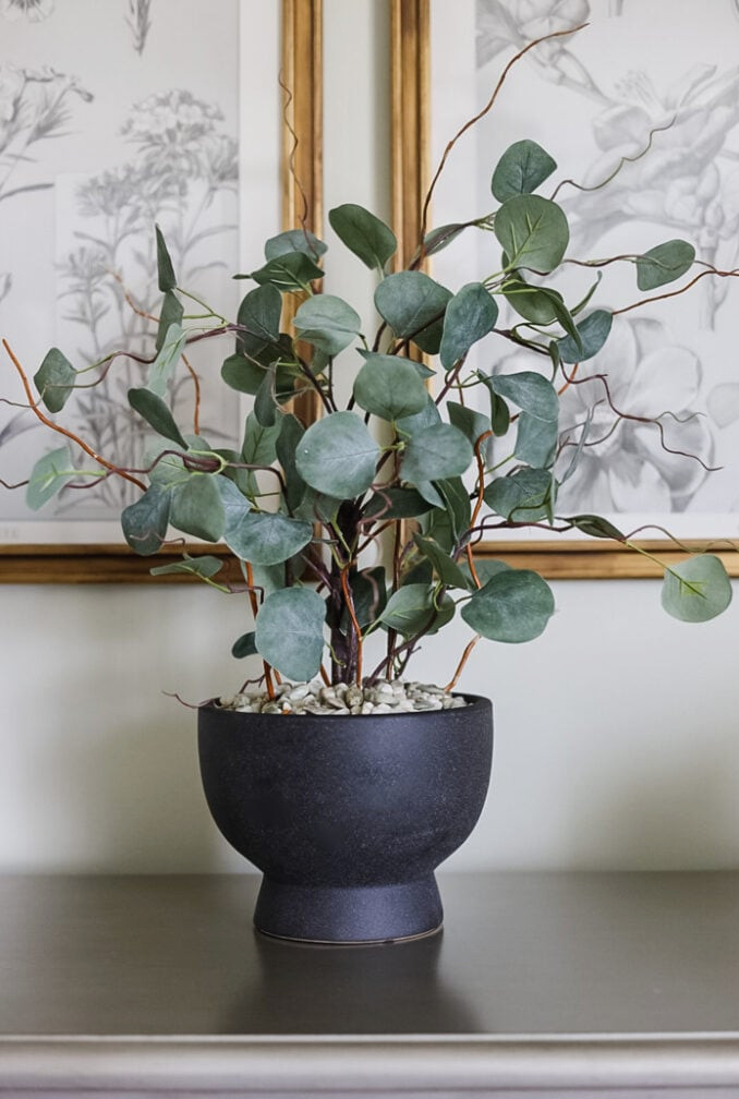 potted faux eucalyptus plant