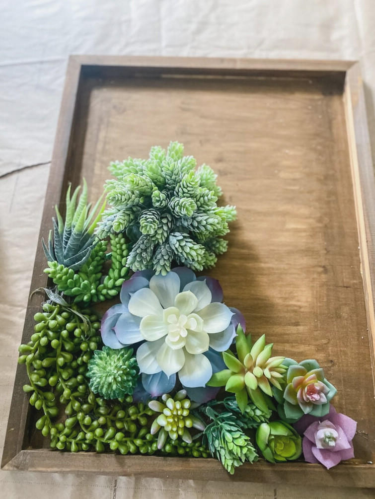 overview of making succulent wall art with artificial succulents