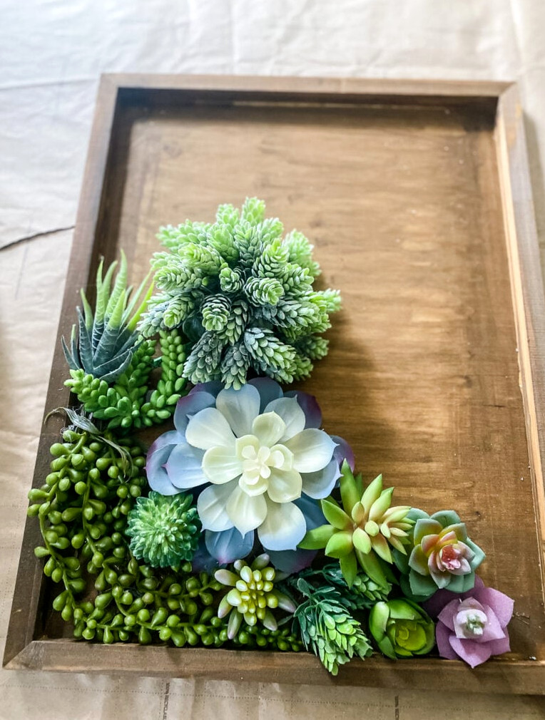 overview of creating succulent wall art with faux succulents