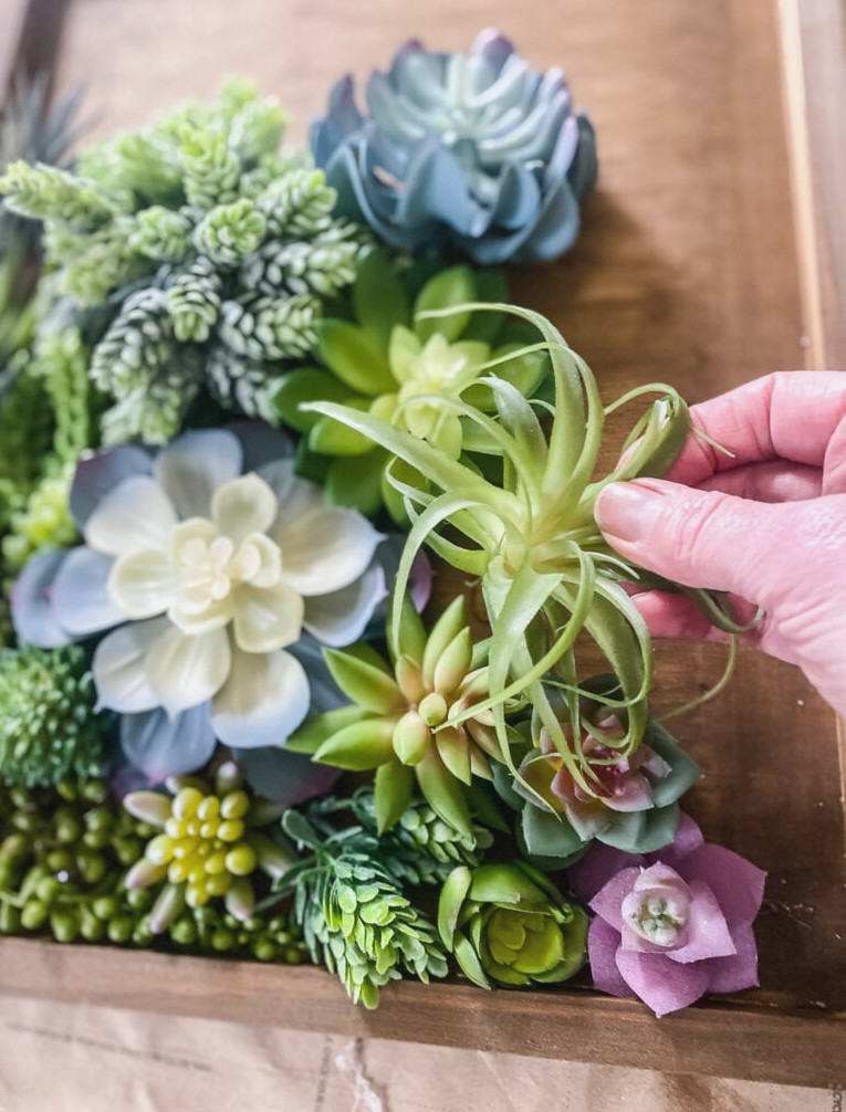 attaching an artificial air plant to a frame