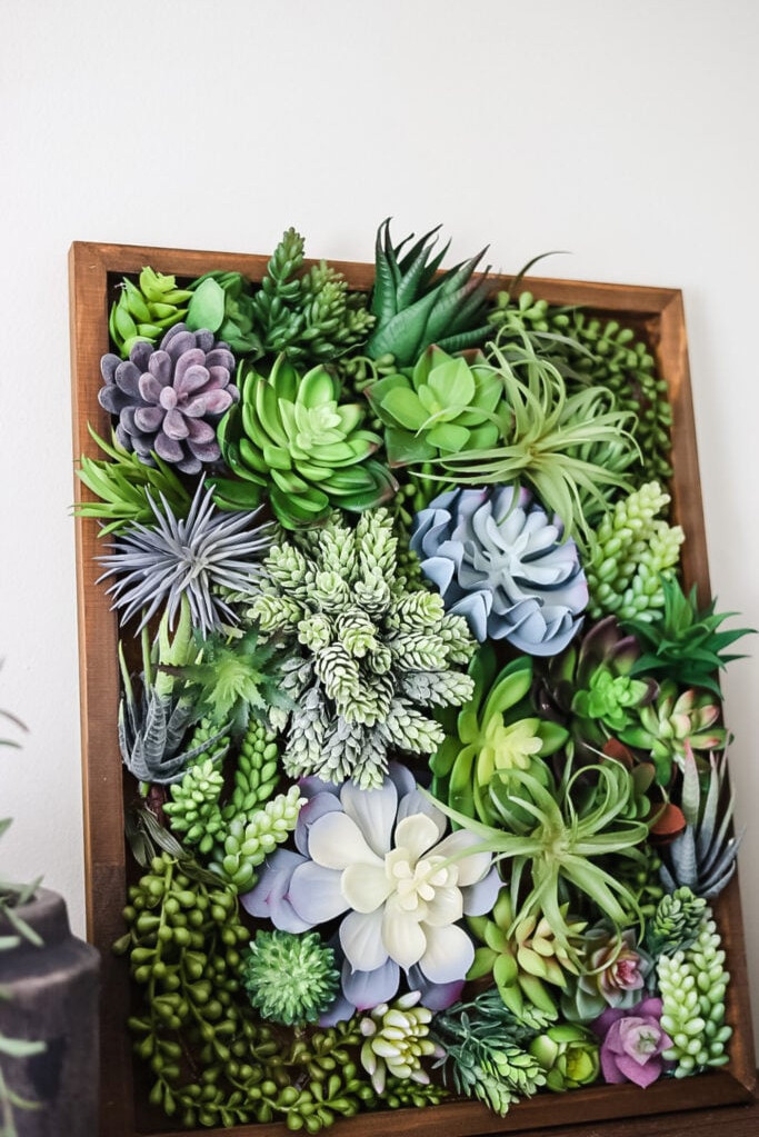 a frame displaying artificial succulents on a shelf