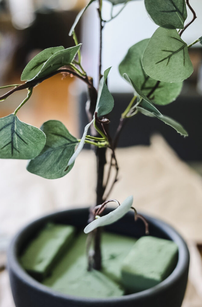 attaching eucalyptus stems to a branch