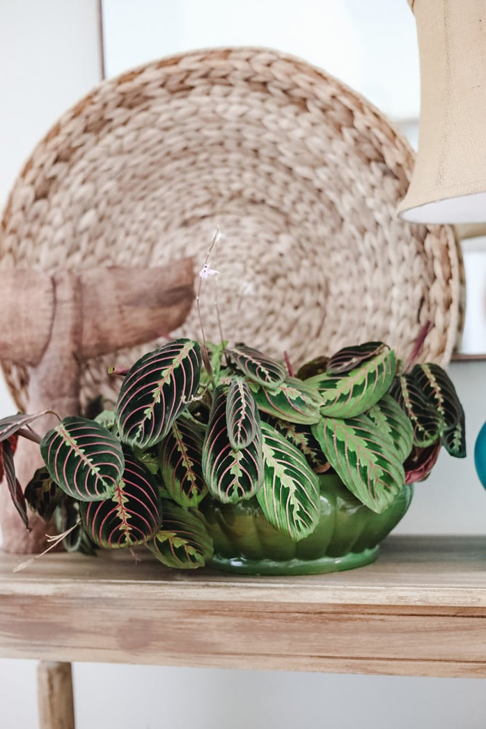 DIY Decor Delights: Easy Projects for Year-Round Style