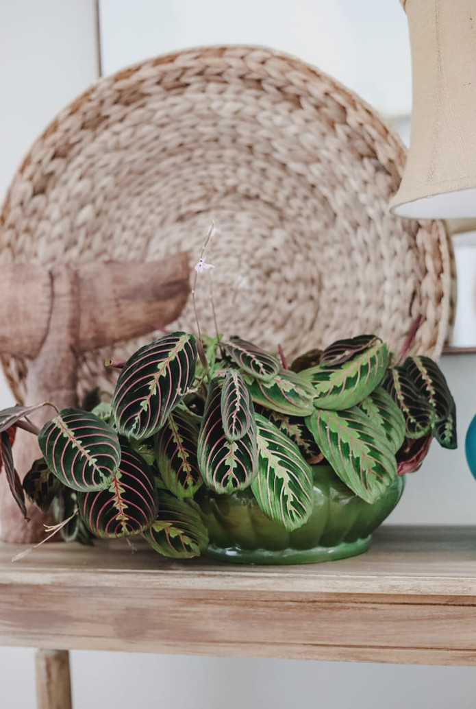 Upcycle with Style: Vase Makeovers Using Recycled and Secondhand Finds