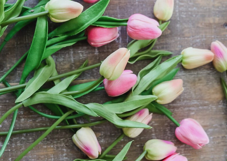 artificial tulip stems