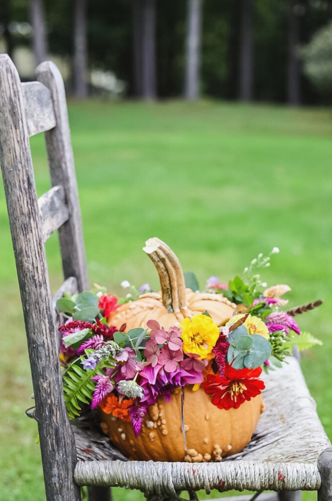 pumpkin filled with flowers on chair outside