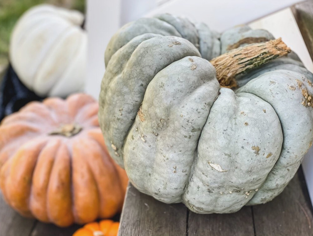 fairytale pumpkins