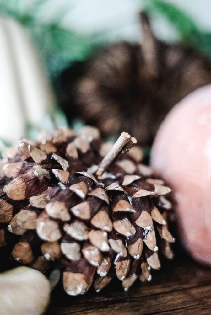 pinecone pumpkin