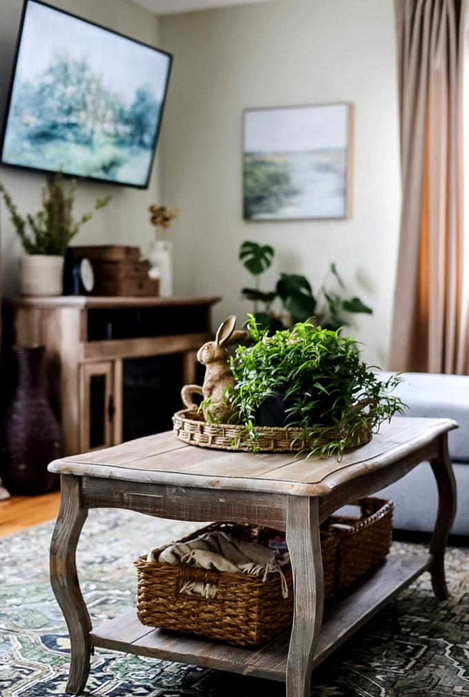 coffee table in living room with rattan tray and plant