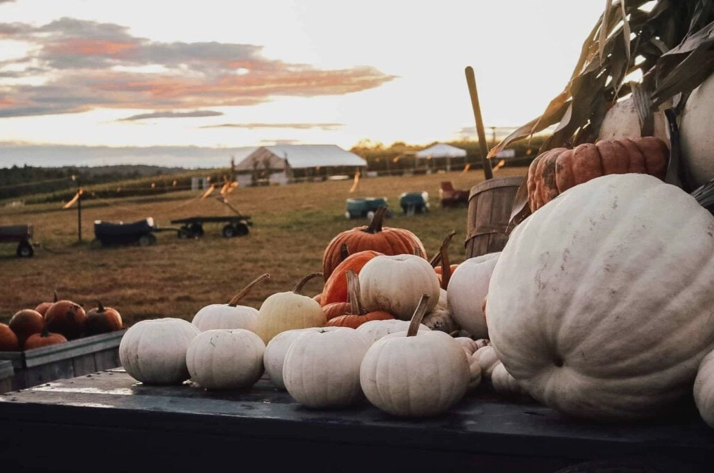 Scamman Farm, Stratham NH