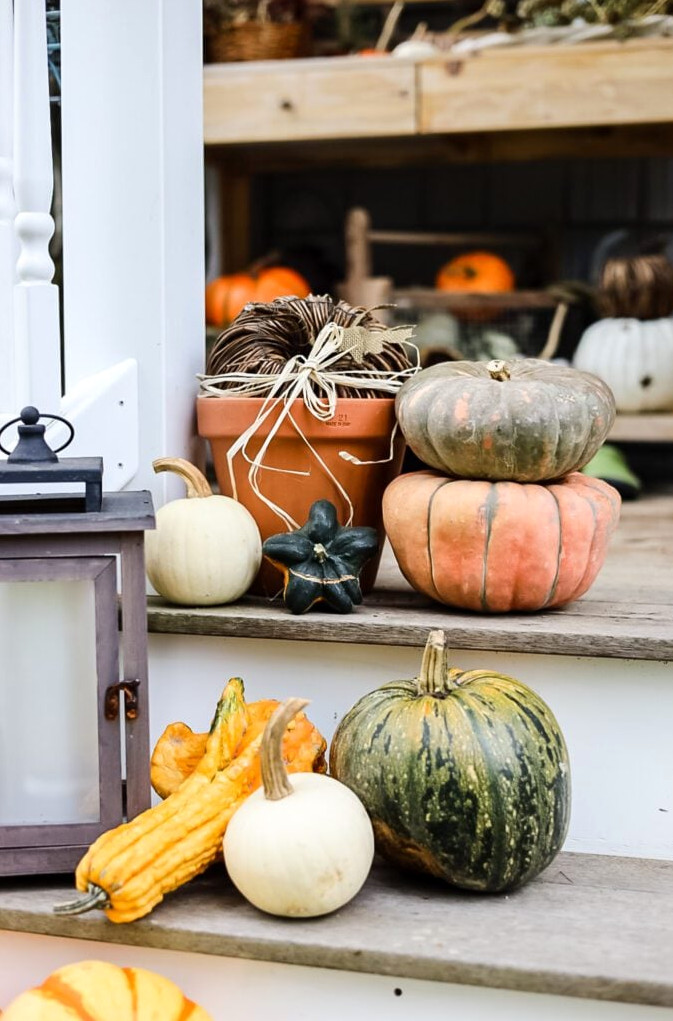 pumpkins on stairs