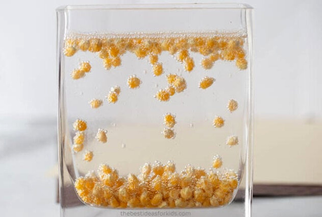 Dancing Popcorn Experiment