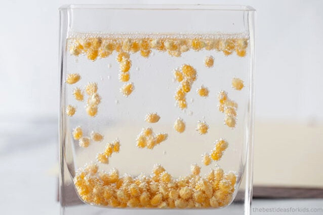 Dancing Popcorn Science Experiment
