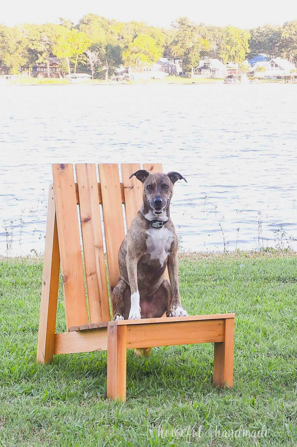 Dog relaxing on the DIY modern adirondack chair on a lawn beside a lake.