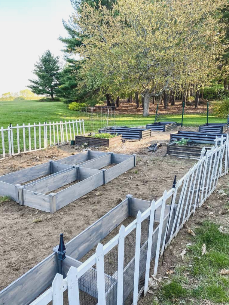 vegetable garden
