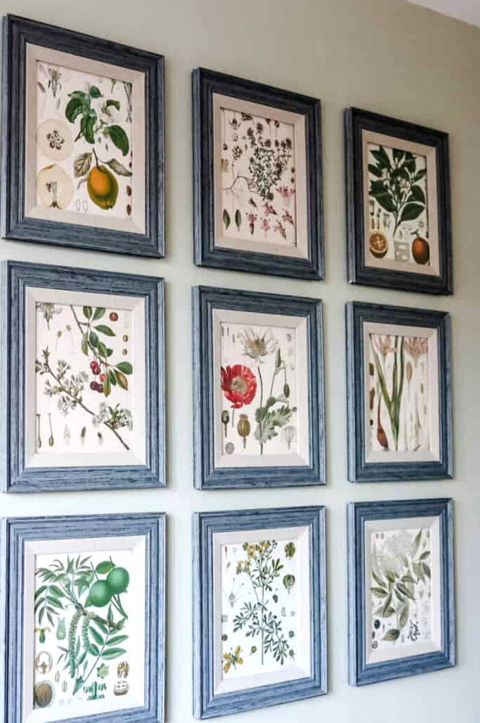 Botanical Prints