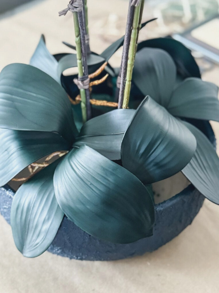 orchid leaves in a planter