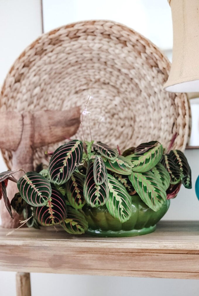 thrifted planter