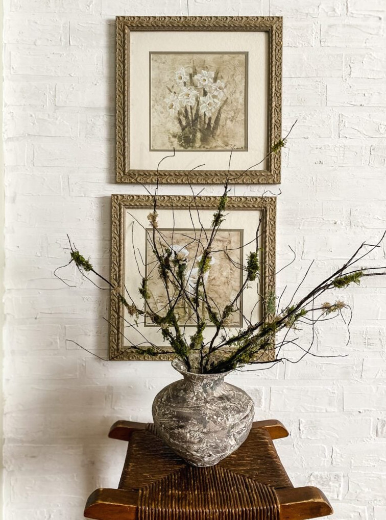 botanical pictures