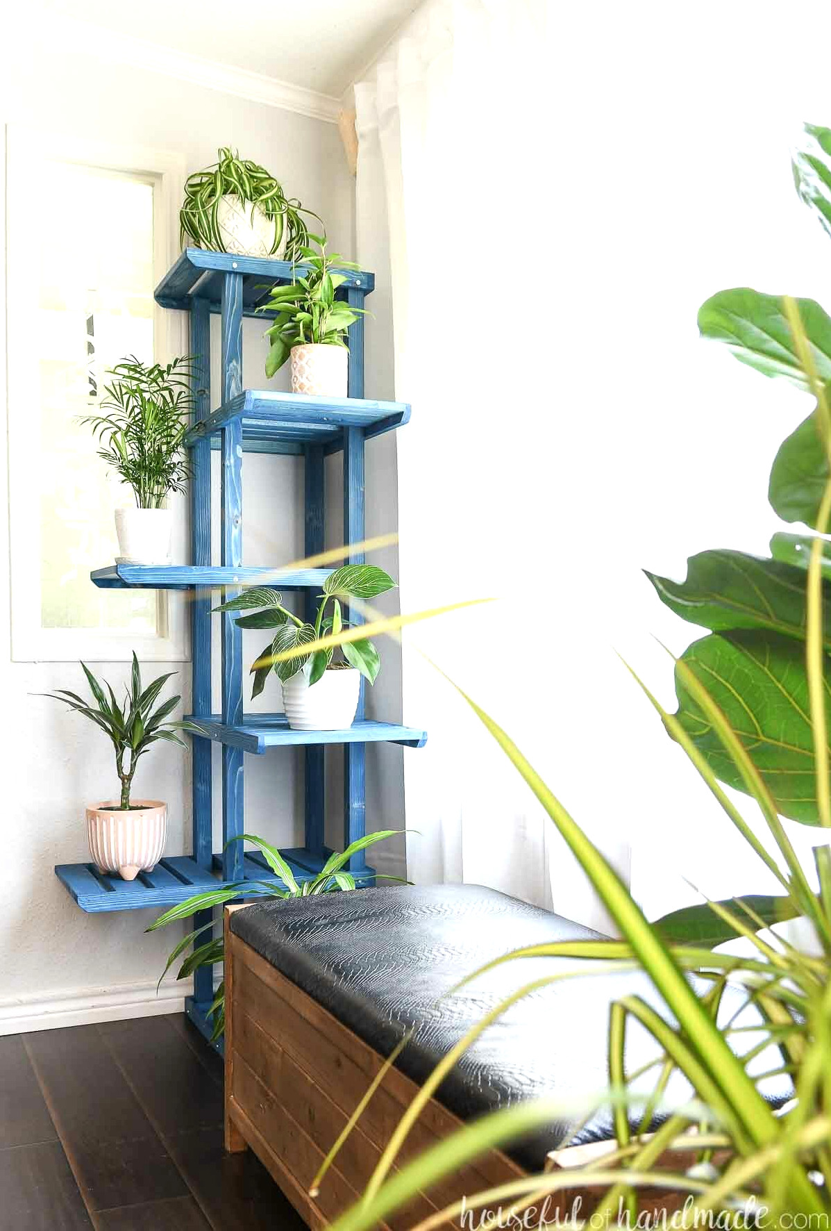 Blue-stained wooden tiered plant stand positioned in a corner with a bench and tall plants in front..