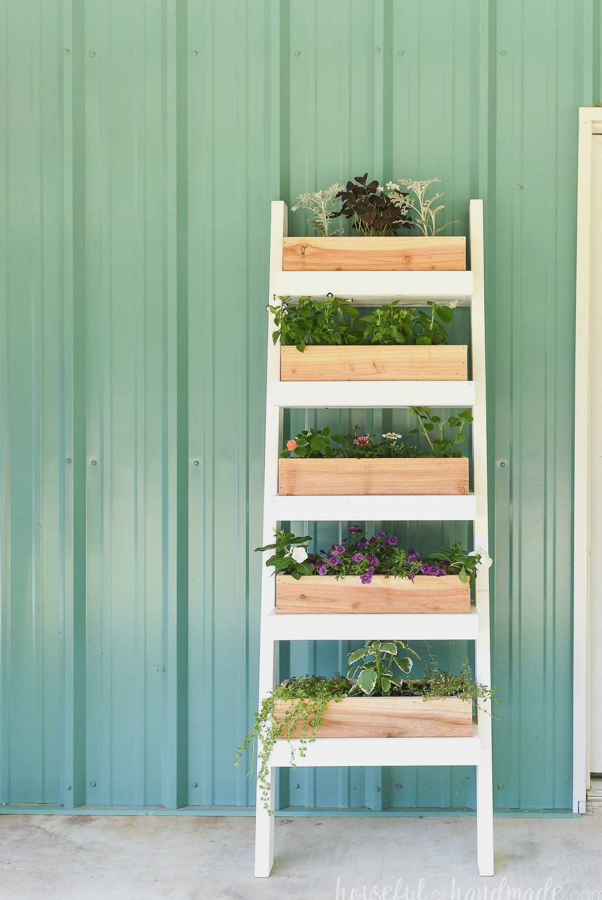 White and cedar vertical ladder garden leaning up against a teal wall.