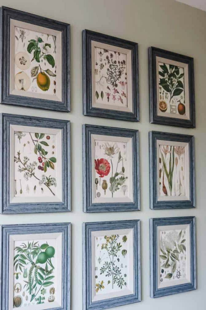 Botanical Prints