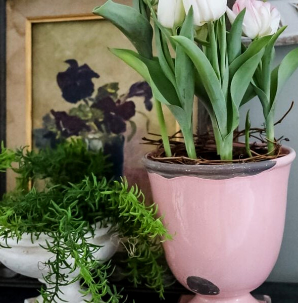 pink vessel with pink tulips