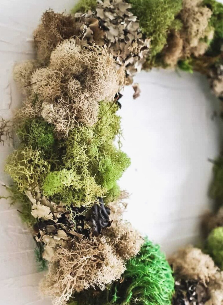 anthropologie dupe moss wreath