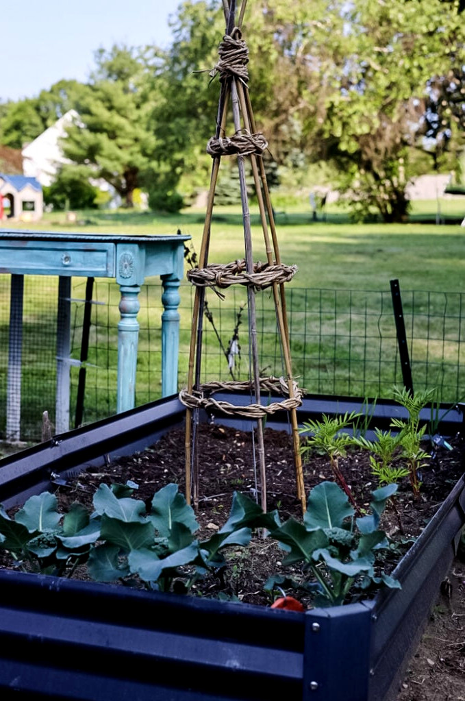 raised garden bed with garden tower