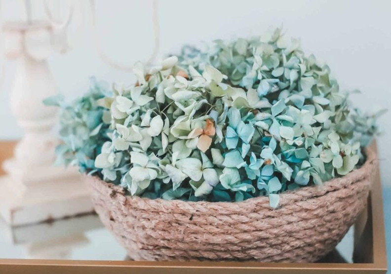rope bowl with dried hydrangeas