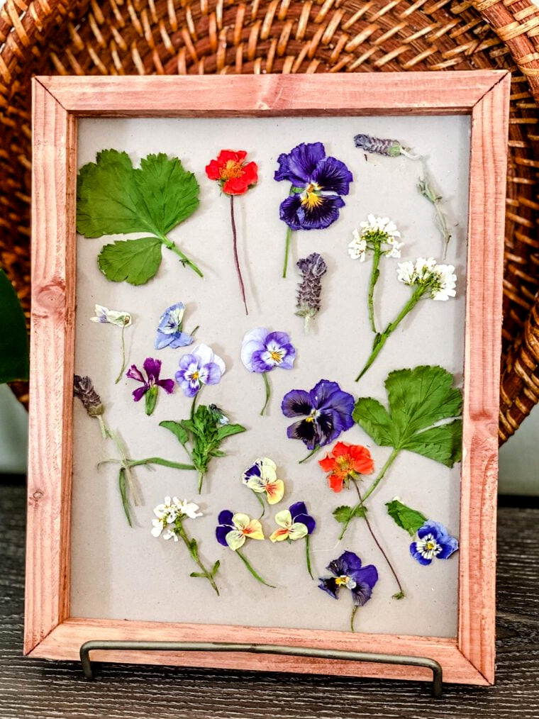 framed art with pressed flowers