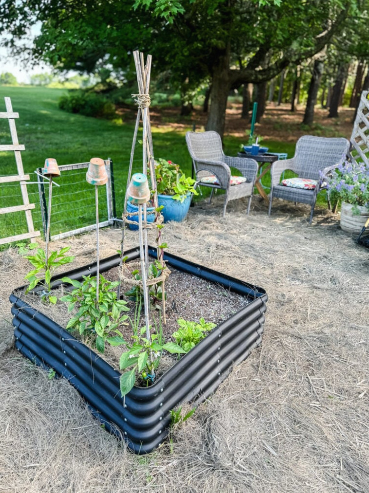 raised garden bed with obelsik
