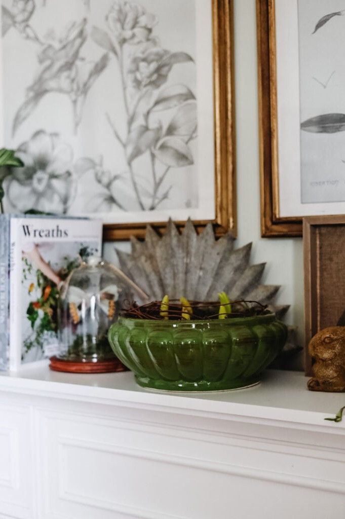 Green Up Your Home: Easy DIY Projects to Add a Touch of Greenery