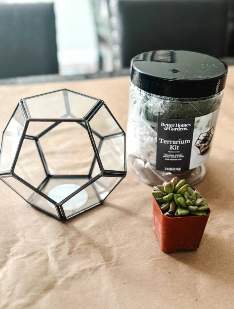 supplies to make a terrarium