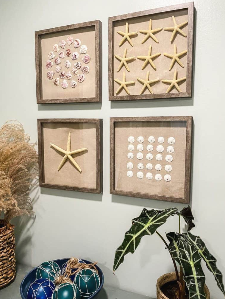 seashell shadow boxes