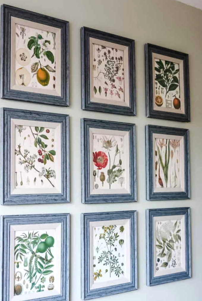 Botanical Prints