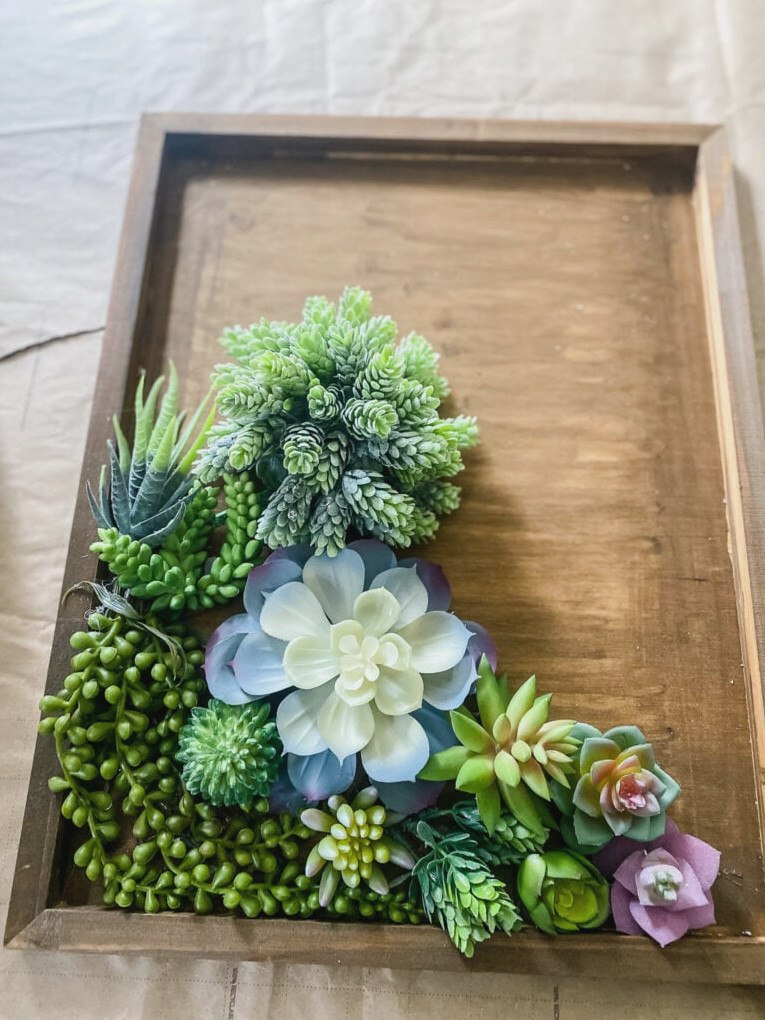 overview of making succulent wall art with artificial succulents