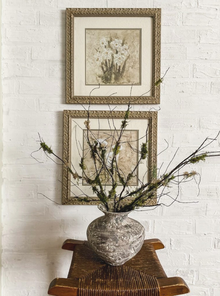 botanical pictures