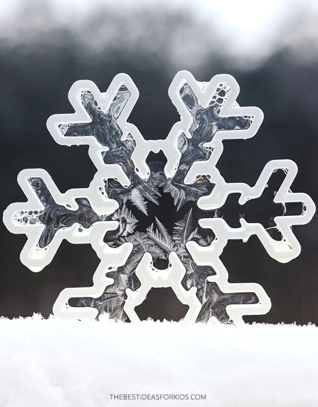 Use a Cookie Cutter Frozen Ice Crystals