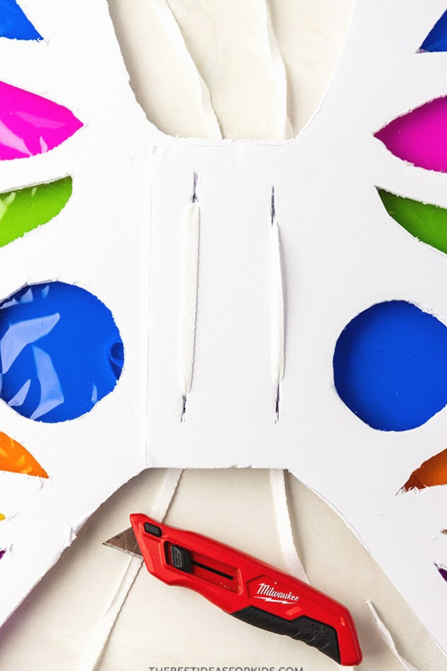 butterfly wings shoelaces